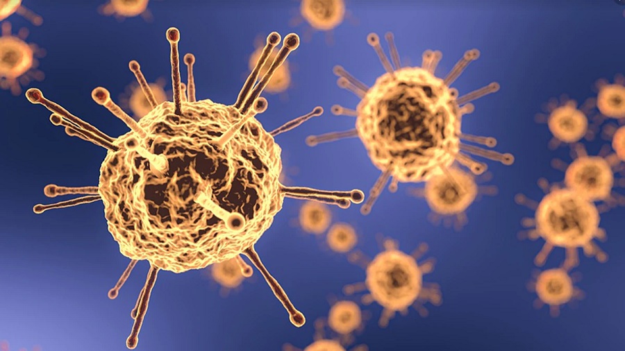 coronavirus